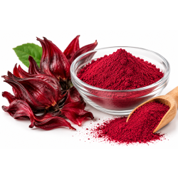 Ekstrakt hibiskusa w proszku – czerwony 1 kg